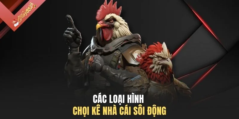 Các loại hình chọi kê nhà cái sôi động