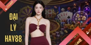 Đại Lý HAY88
