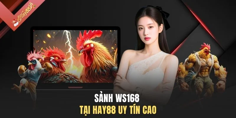 Sảnh WS168 tại HAY88 uy tín cao